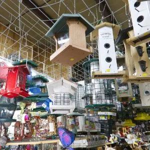 Bird feeder selection at Gateway Farm & Pet